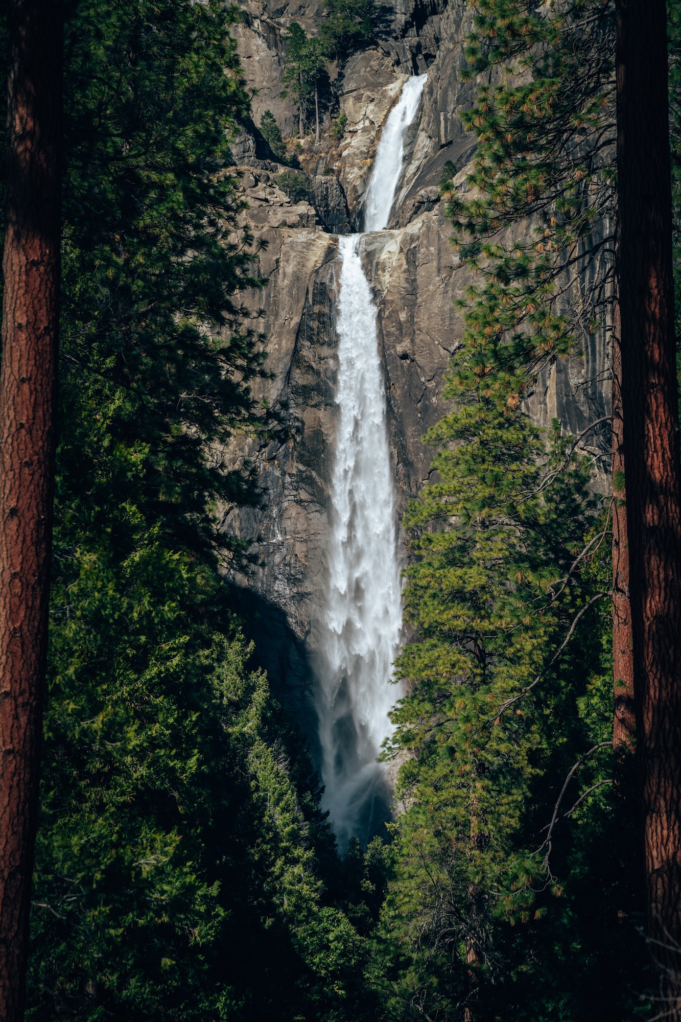 Lower Yosemite Fall - Yosemite National Park