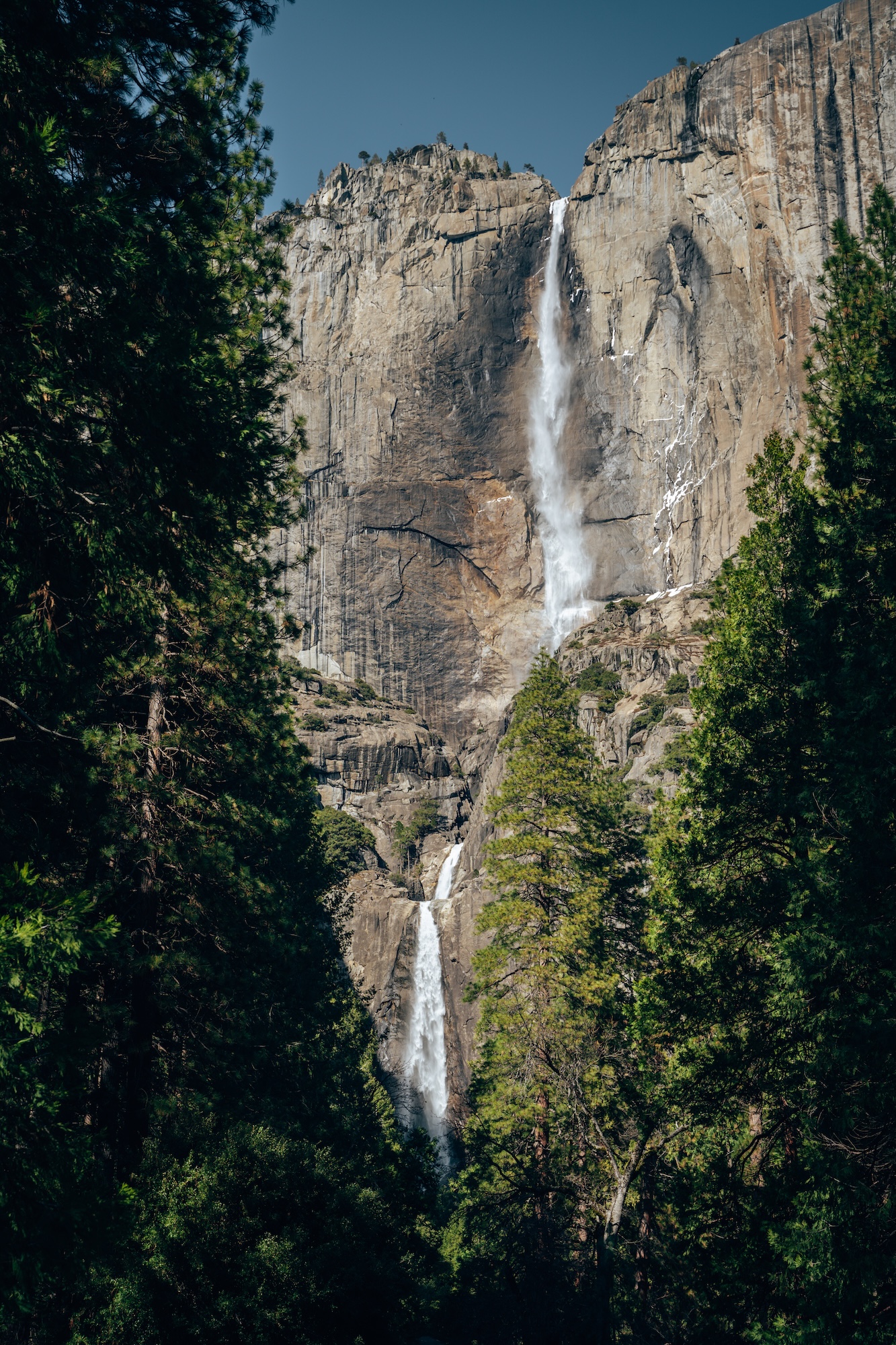 Upper and Lower Yosemite Fall - Yosemite National Park