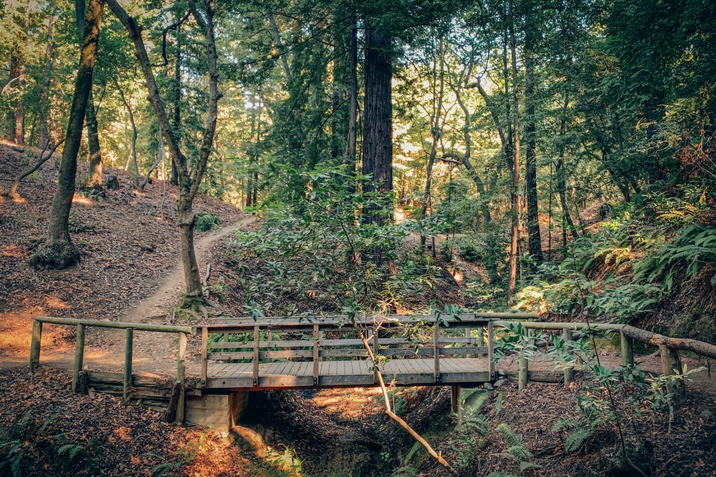 Walking Trail - Ventana Big Sur, California