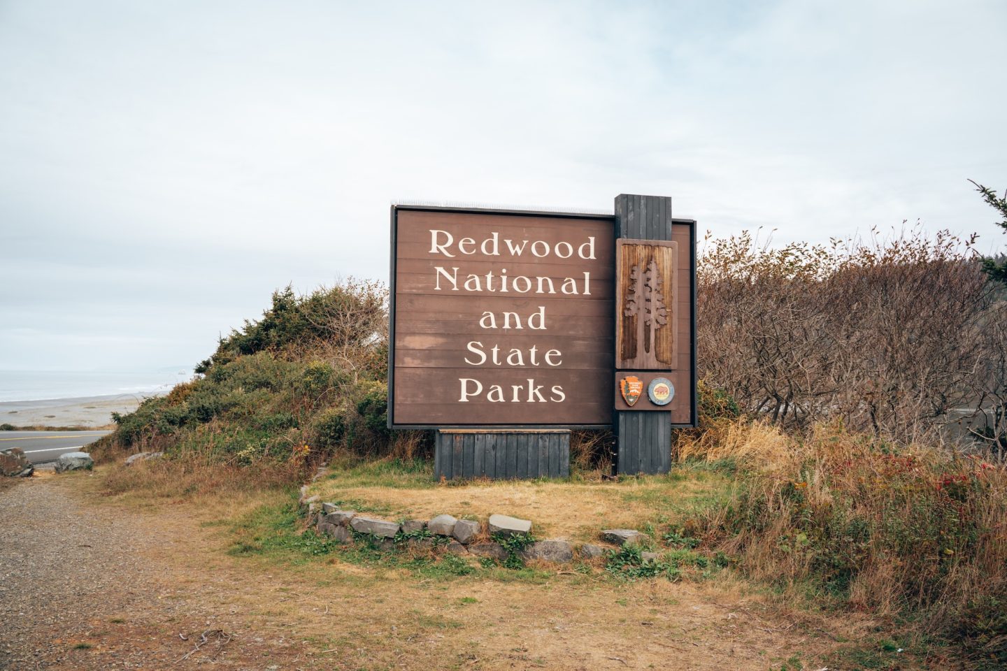 ONE DAY IN REDWOOD NATIONAL PARK IN CALIFORNIA