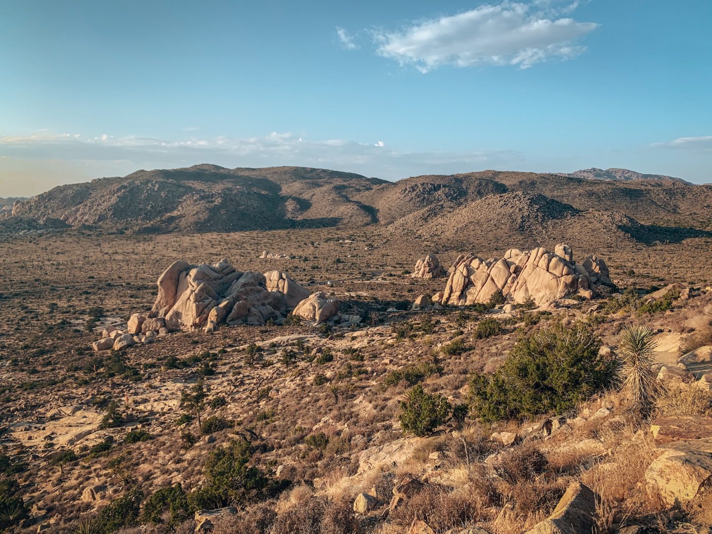 Ryan Mountain - Joshua Tree National Park