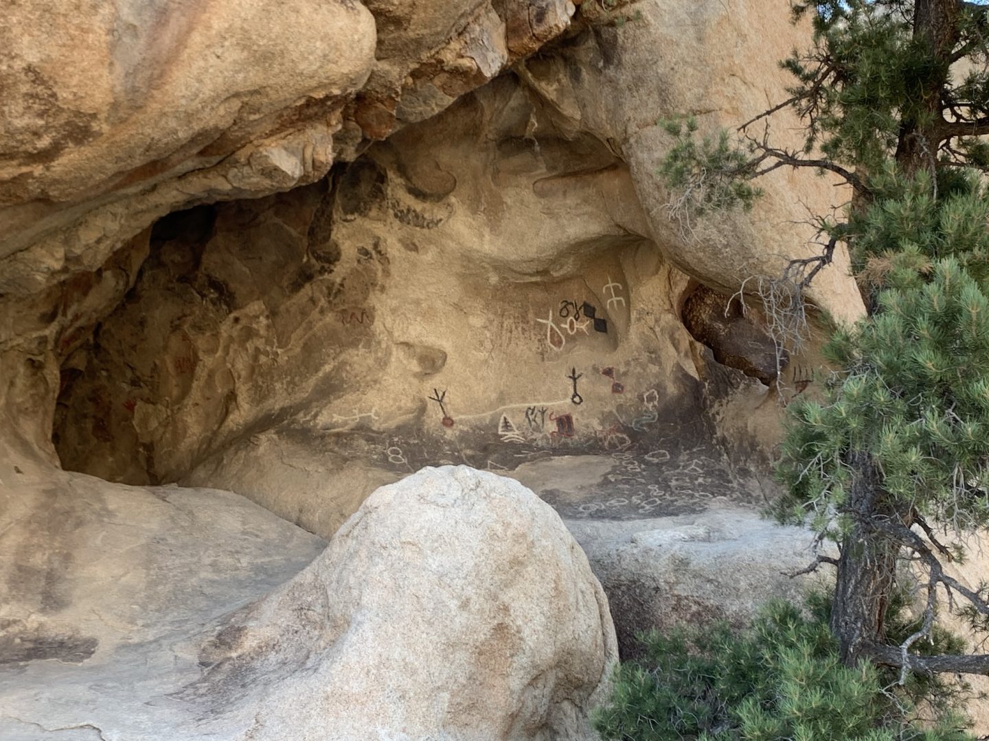 Barker Dam Petroglyphs - Joshua Tree National Park