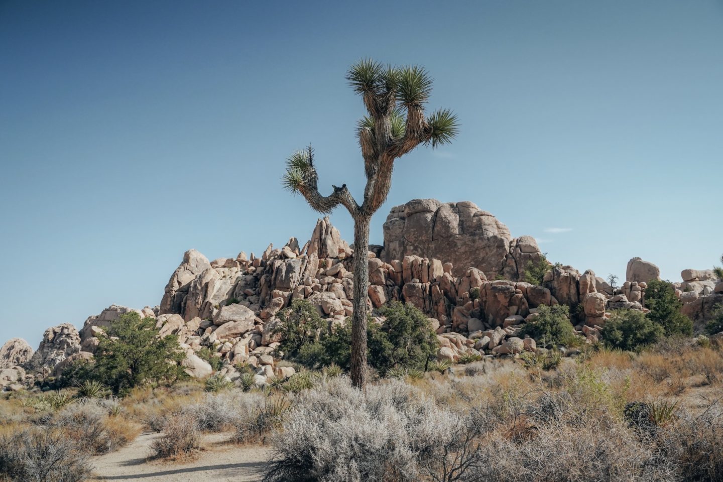 Hidden Valley Trail - Joshua Tree National Park, California