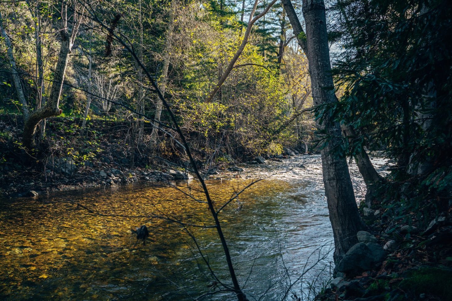 Big Sur River - Pfeiffer Big Sur State Park Campground