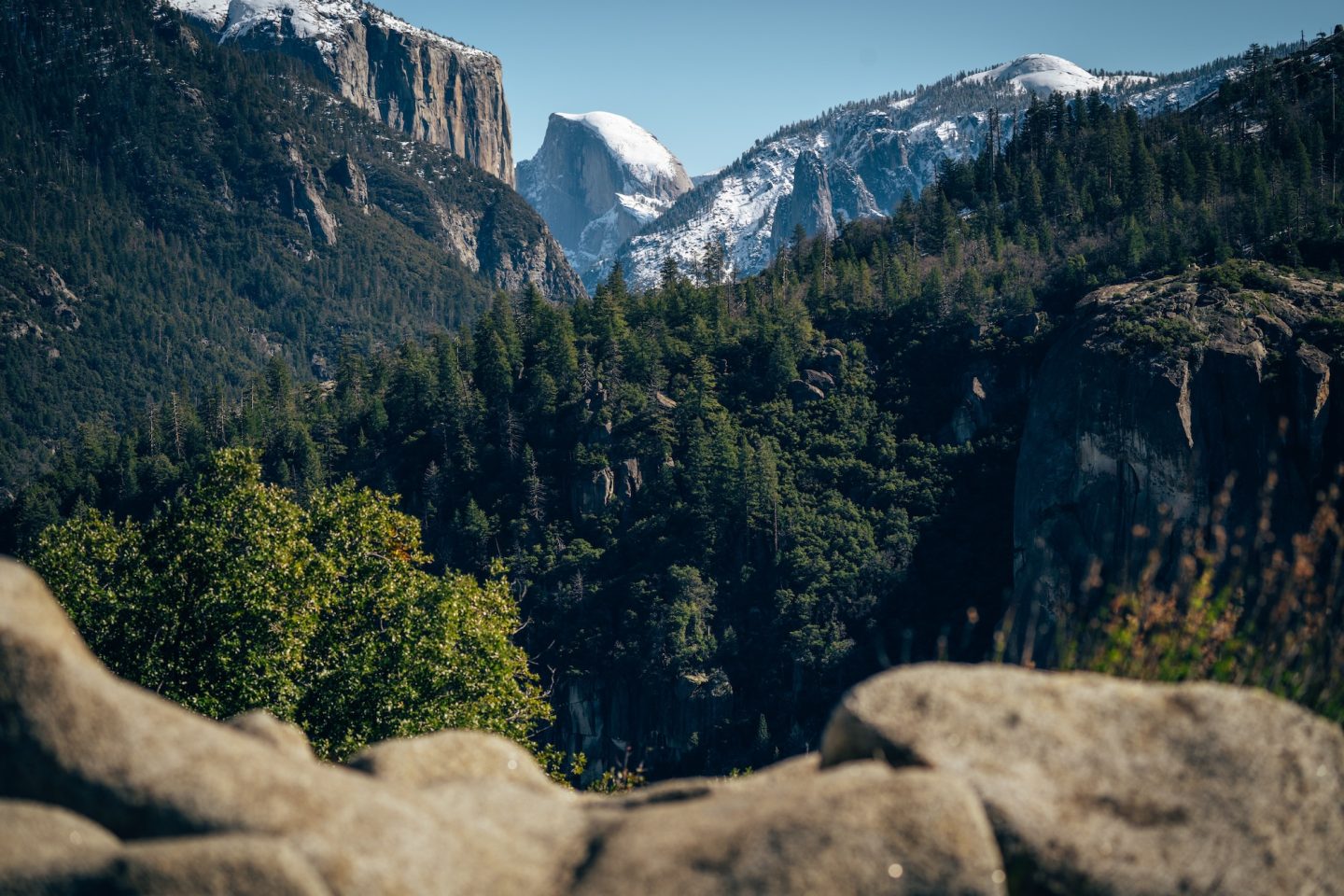 DAY TRIP TO YOSEMITE NATIONAL PARK: YOUR ULTIMATE GUIDE