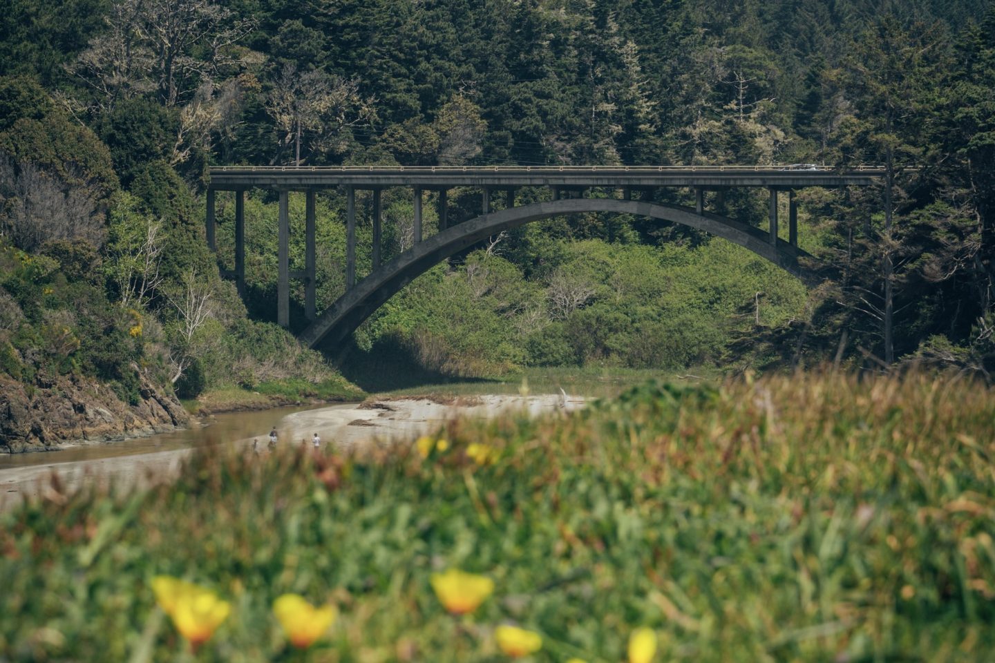 Jug Handle Beach Bridge - Caspar, California