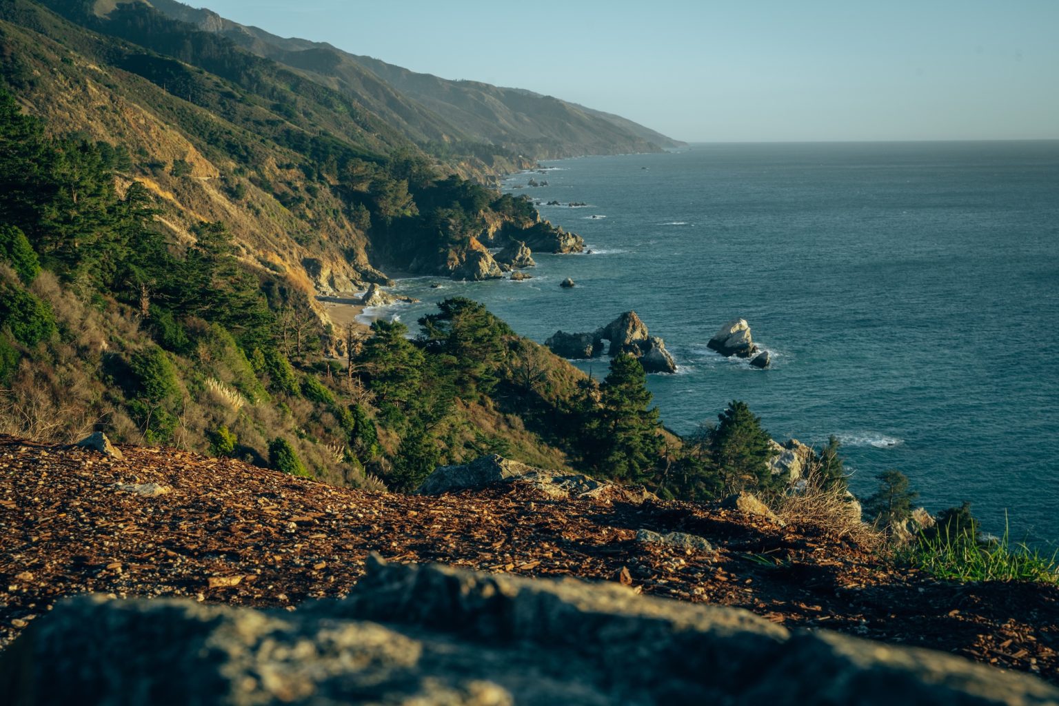 A scenic view of Pfeiffer Big Sur State Park, with its lush forests and winding trails