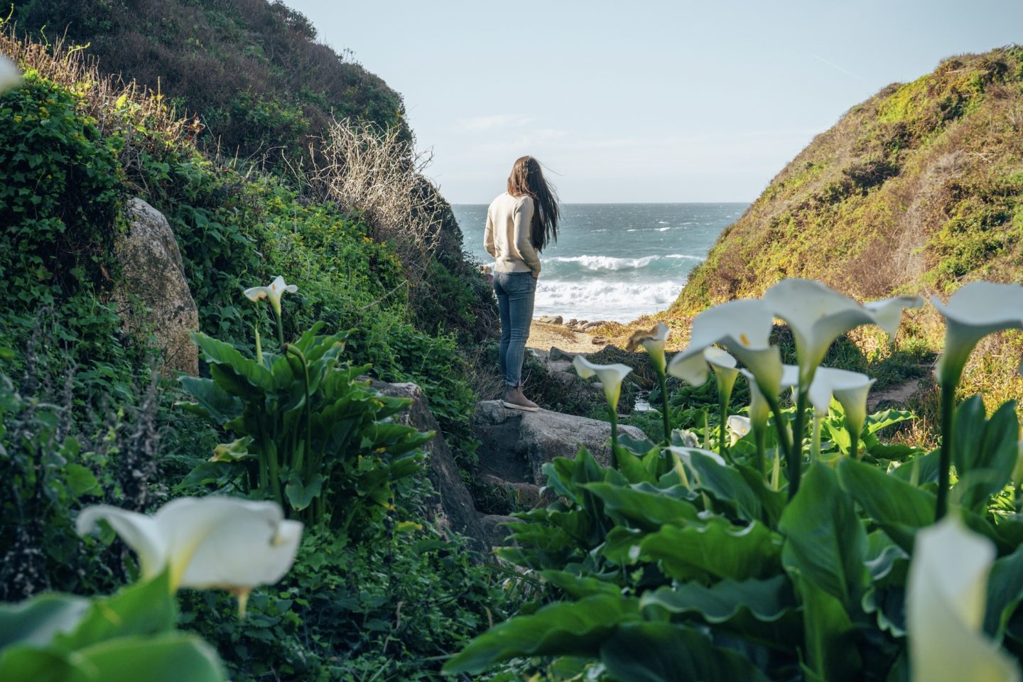 Calla Lily Valley - Big Sur, California