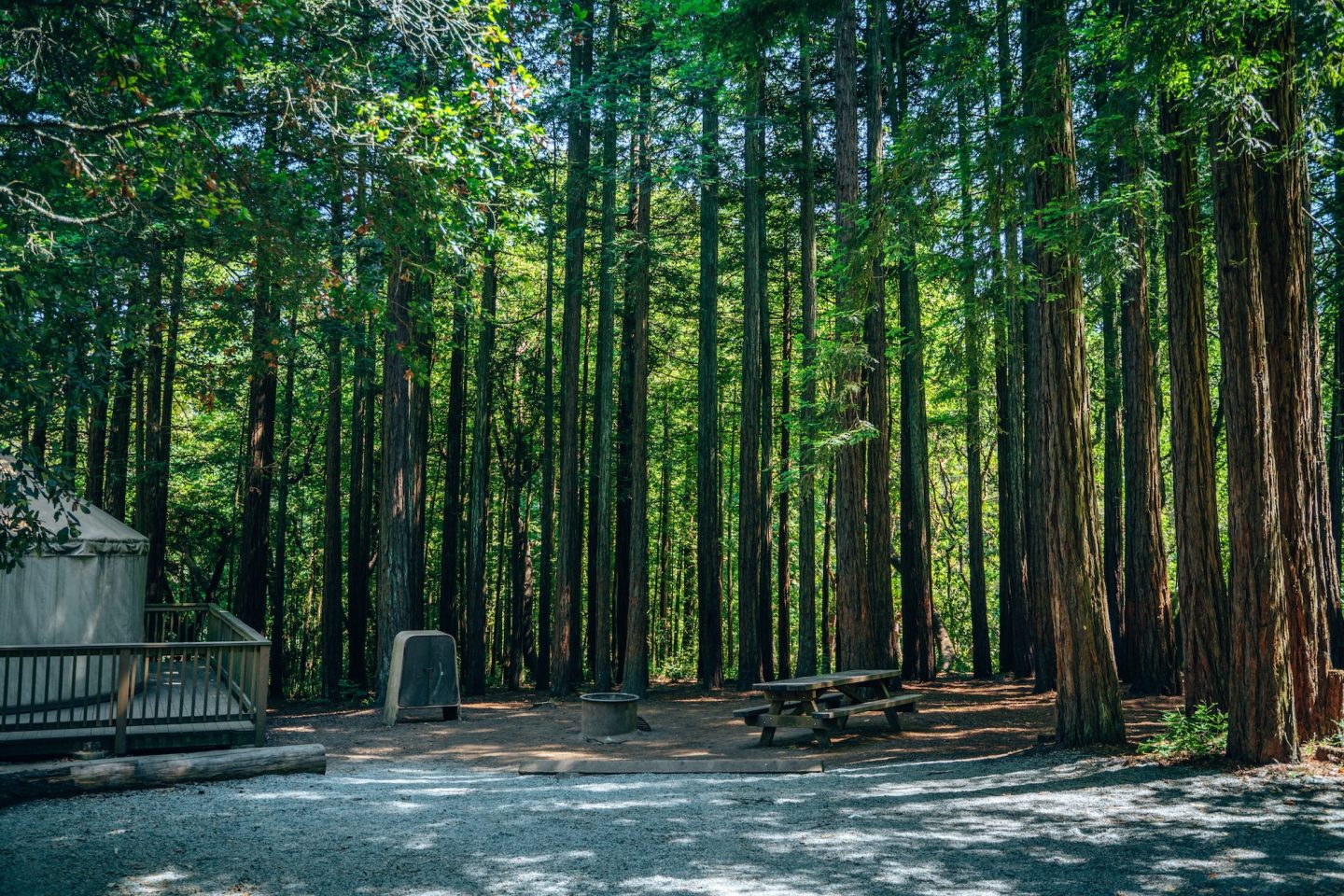 Campsite at Mount Madonna Campground