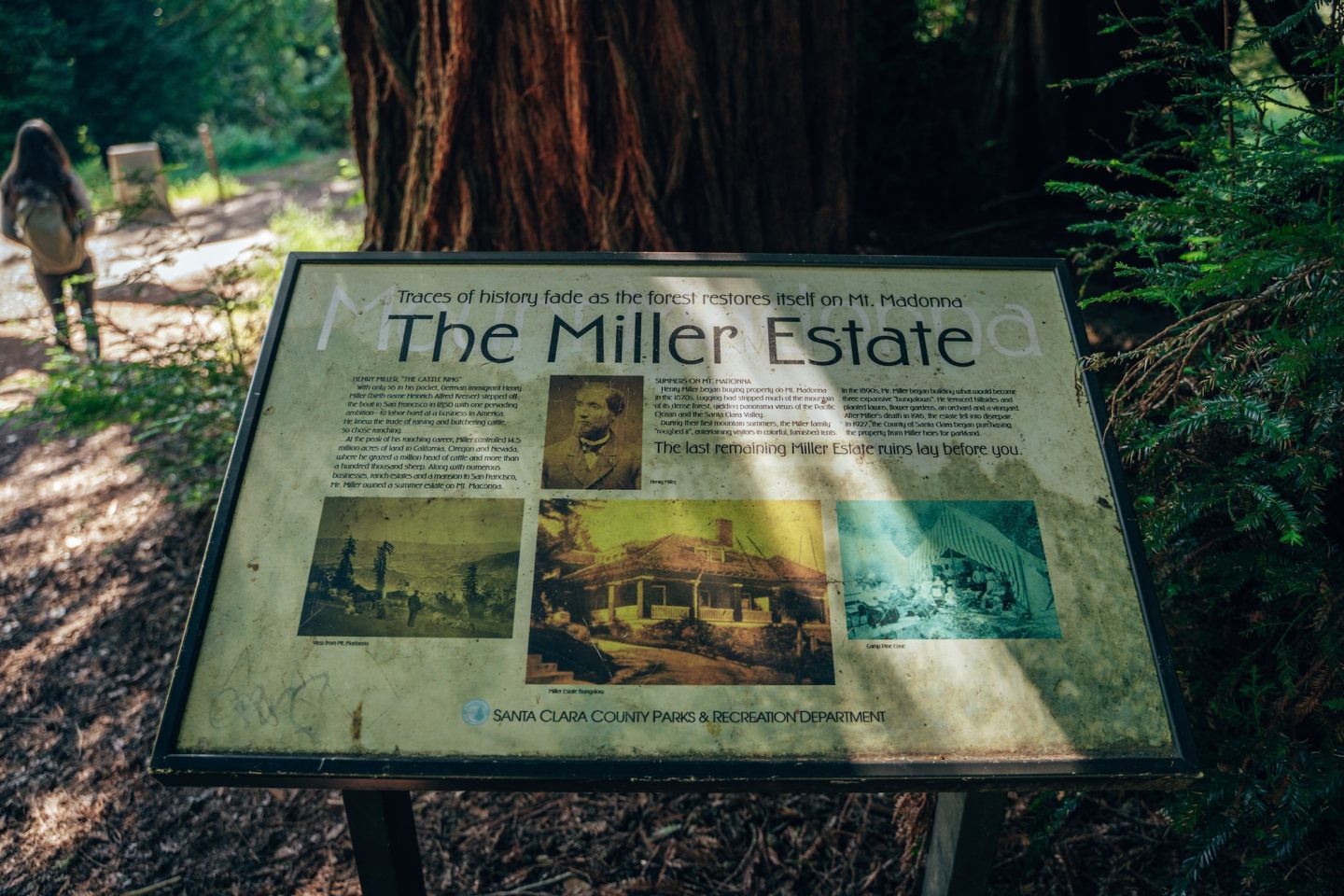 The Miller Estate - Mount Madonna County Park, California