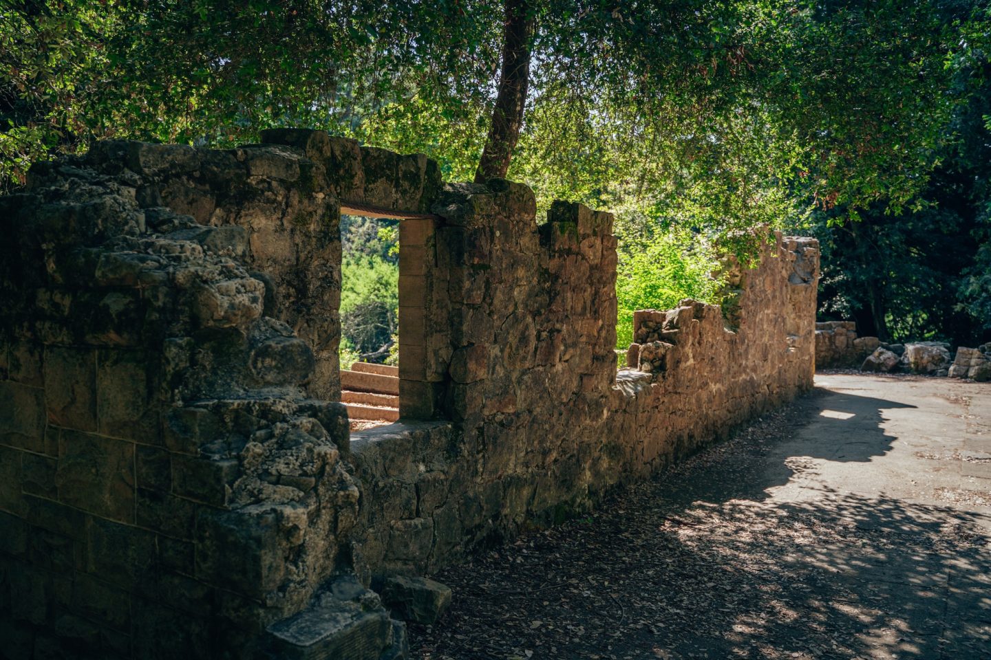 Miller Estate - Mount Madonna County Park, California