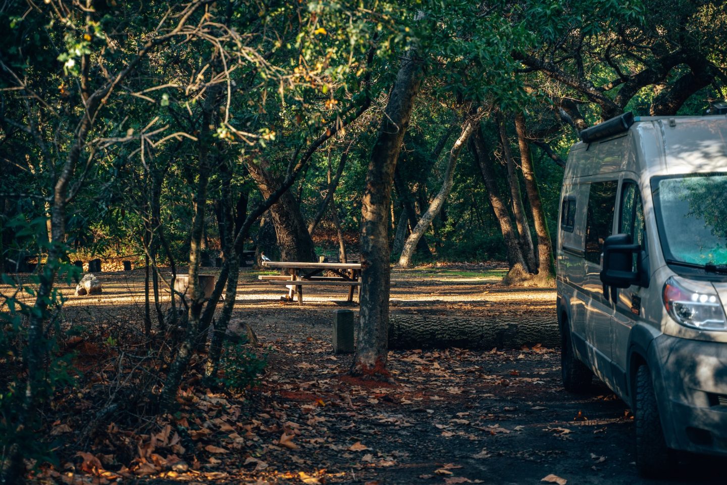 Pfeiffer Big Sur Campground - Pfeiffer Big Sur State Park