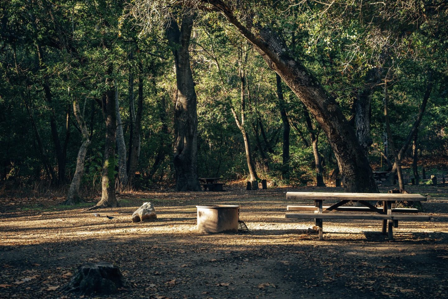 Pfeiffer Big Sur State Park Campground - Big Sur, California