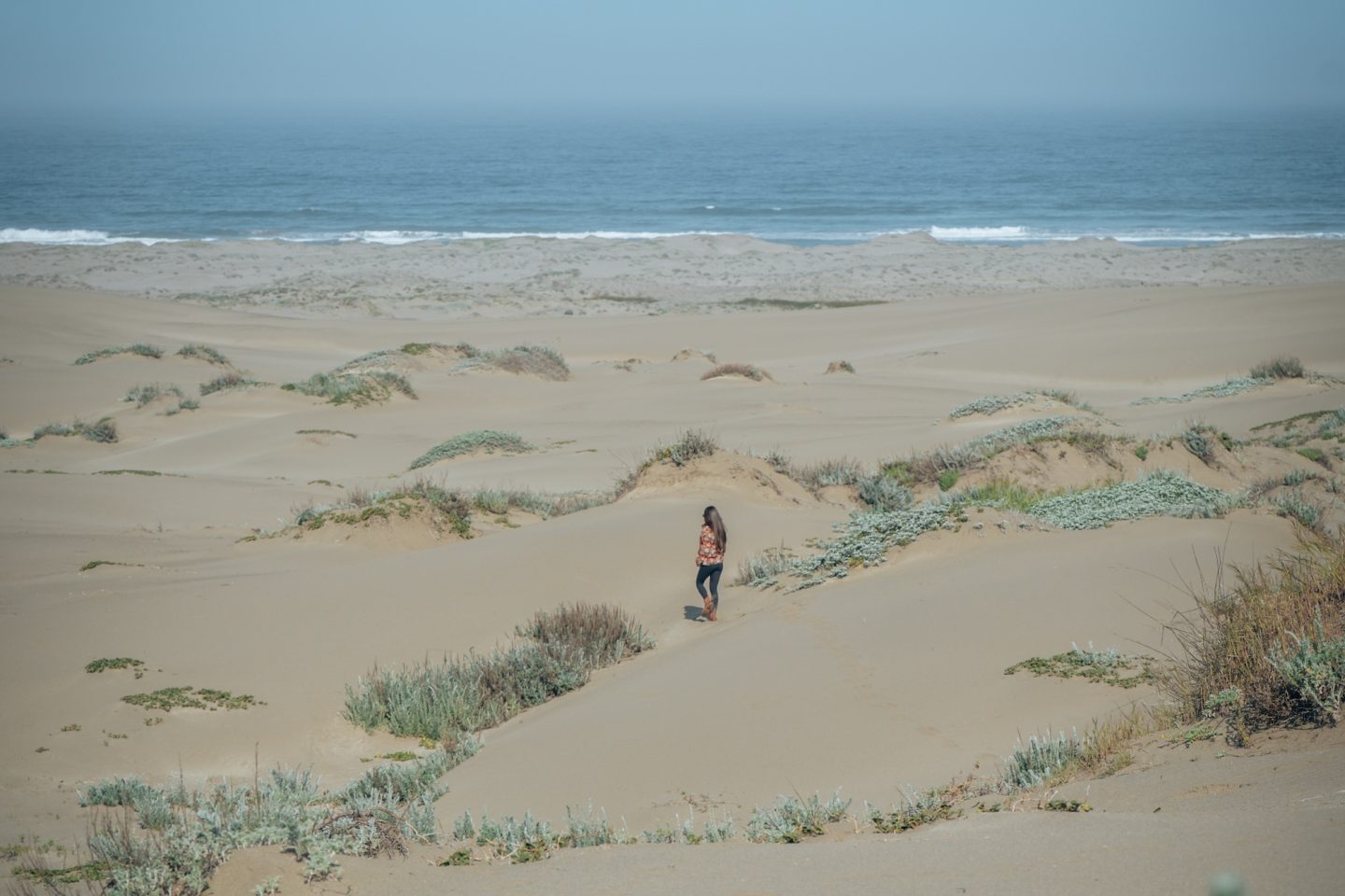 Inglenook Fen-Ten Mile Dunes Natural Preserve - MacKerricher State Park, Fort Bragg