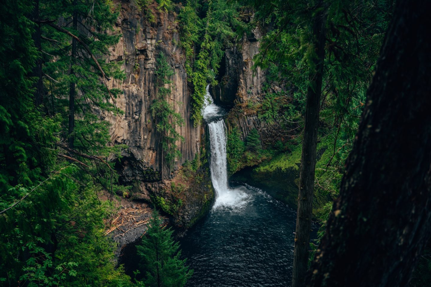 Toketee Falls - Umpqua National Forest
