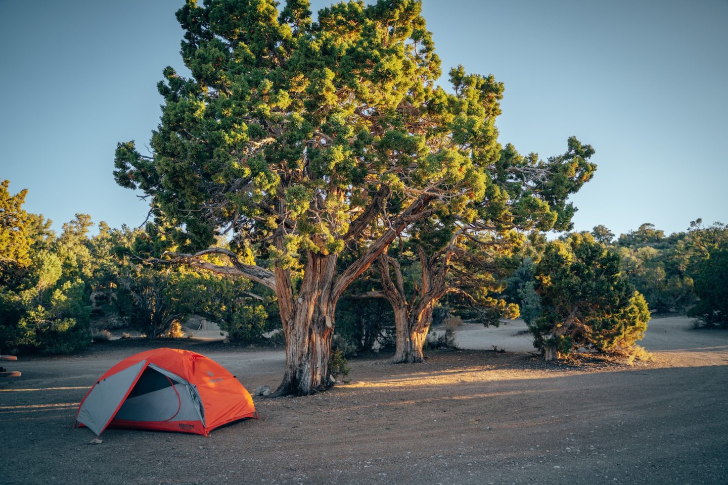 Grandview Campground - Inyo National Forest, California