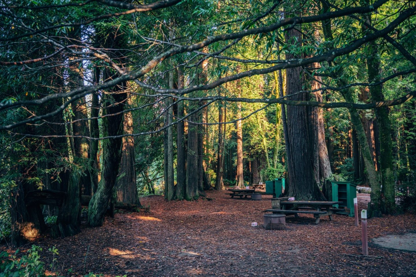 Gualala Regional Point Campground - Sonoma County