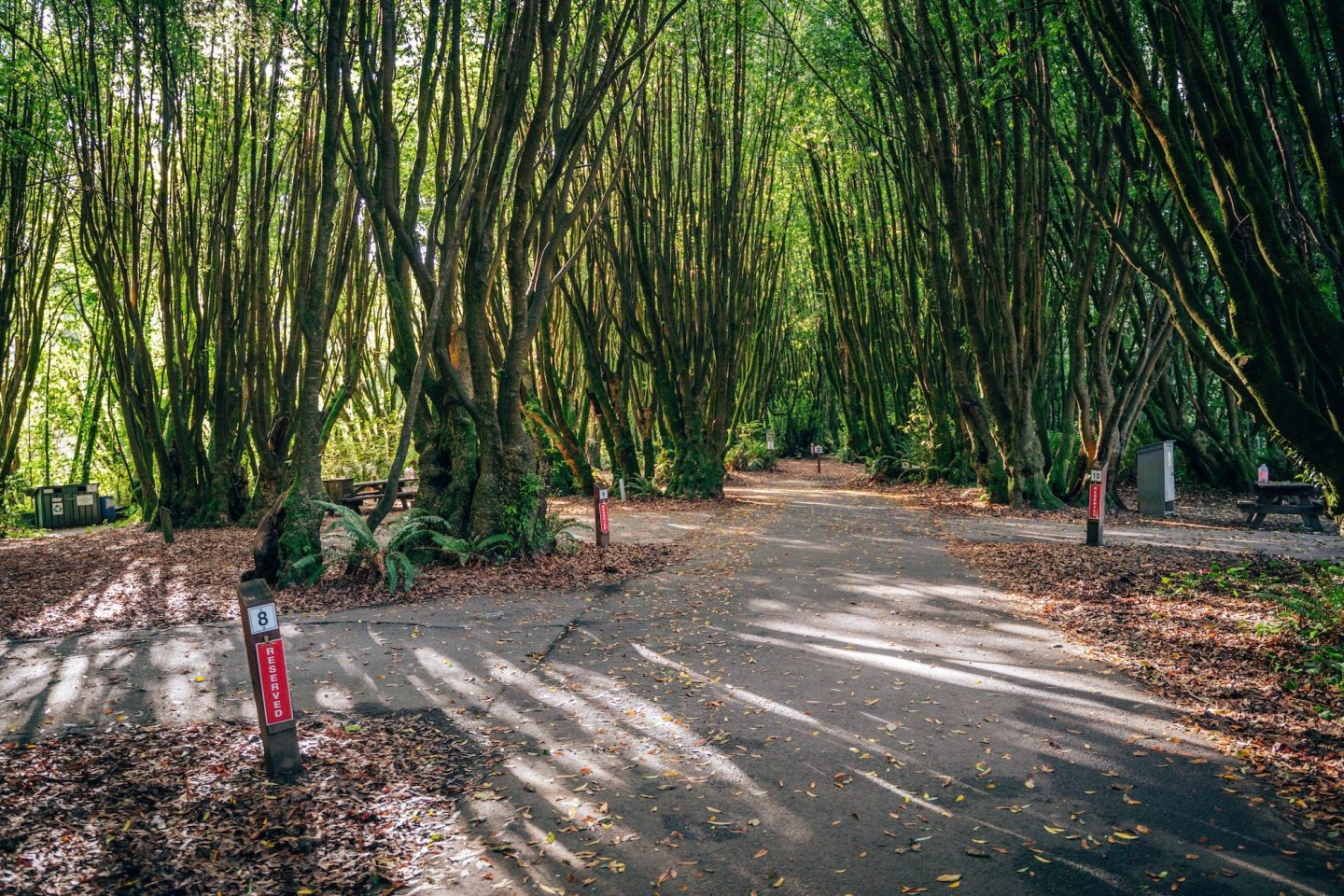 CAMPING AT GUALALA POINT REGIONAL CAMPGROUND