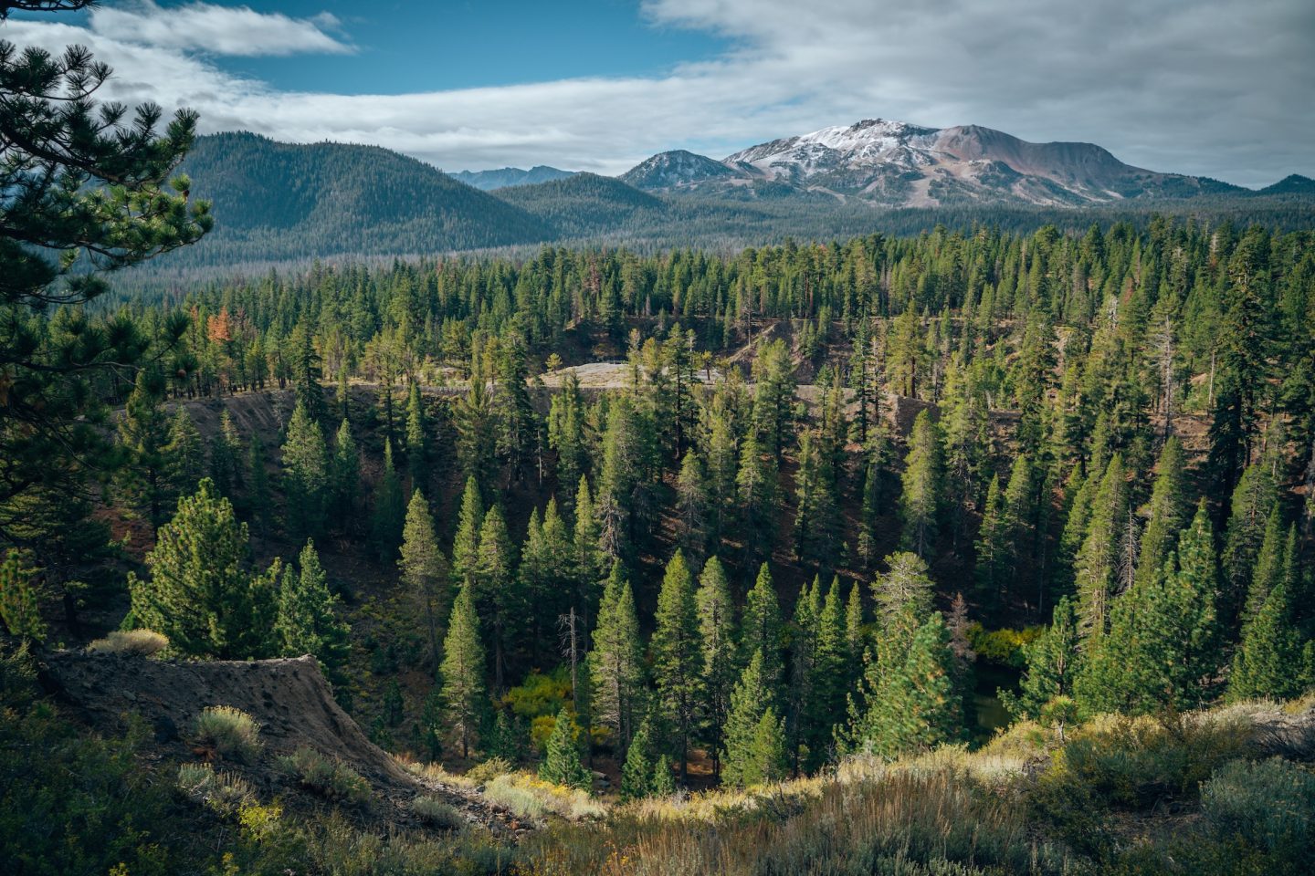 Mammoth Lakes Area - California's Eastern Sierra