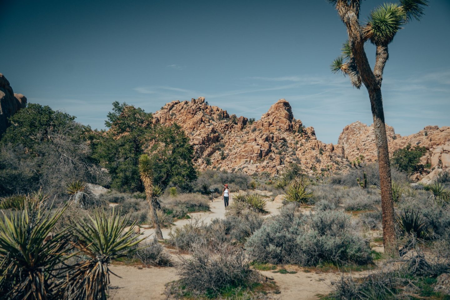HIDDEN VALLEY TRAIL IN JOSHUA TREE NATIONAL PARK
