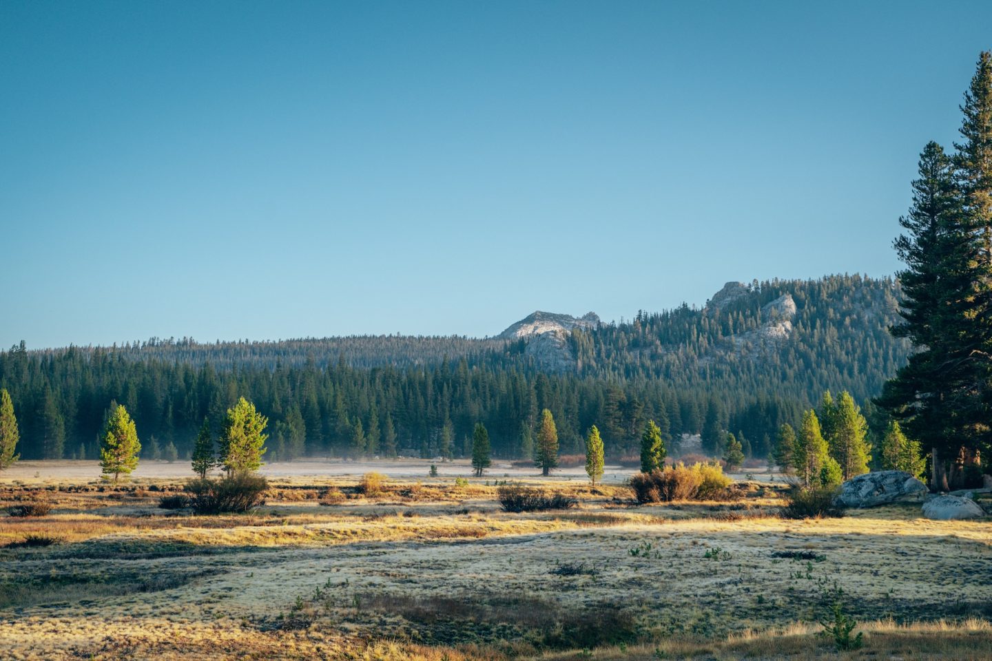 Tuolumne Meadows - Yosemite National Park