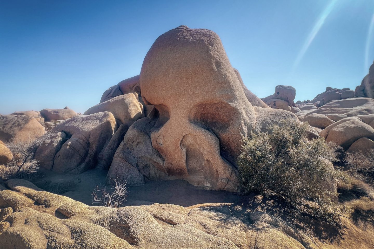 Skull Rock - Joshua Tree National Park, California