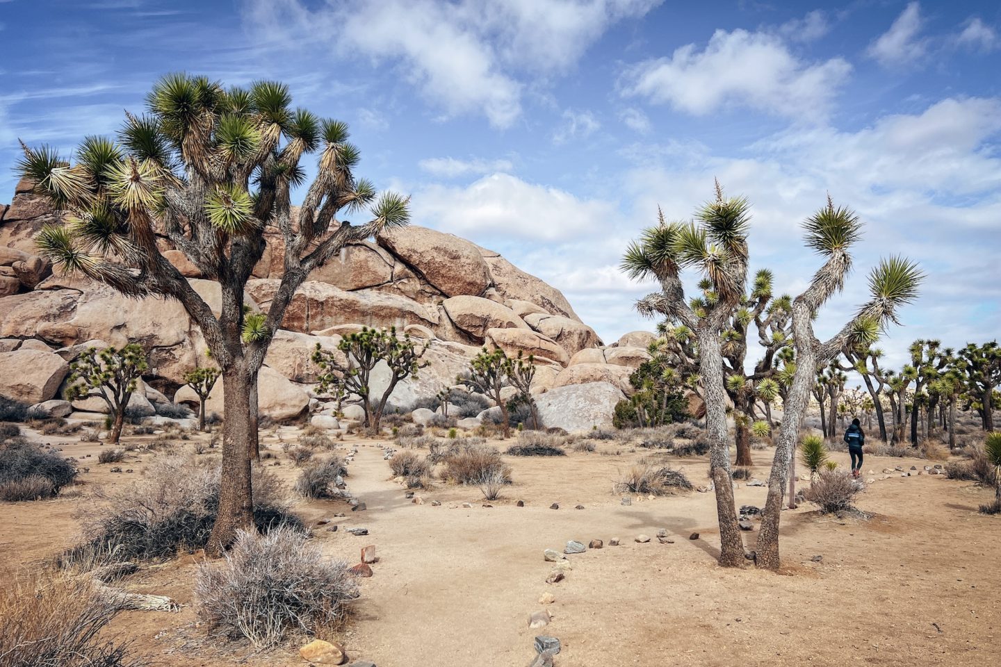 Hall of Horrors - Joshua Tree National Park, California