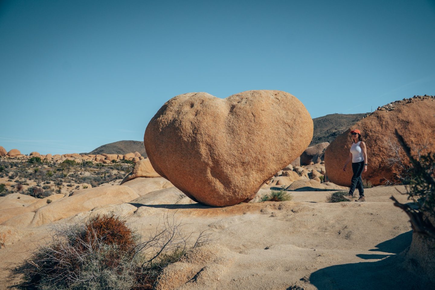 Heart Rock - Joshua Tree National Park, California