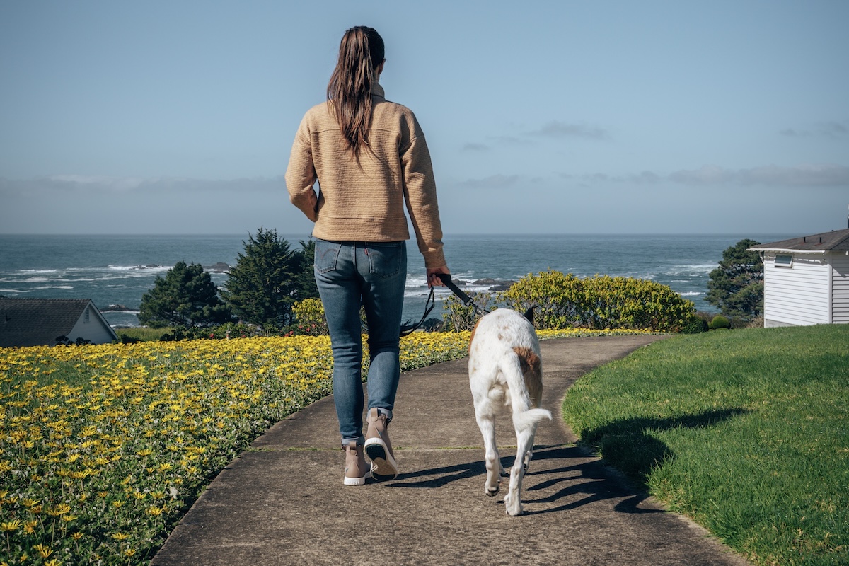 Dog-friendly stays in Mendocino