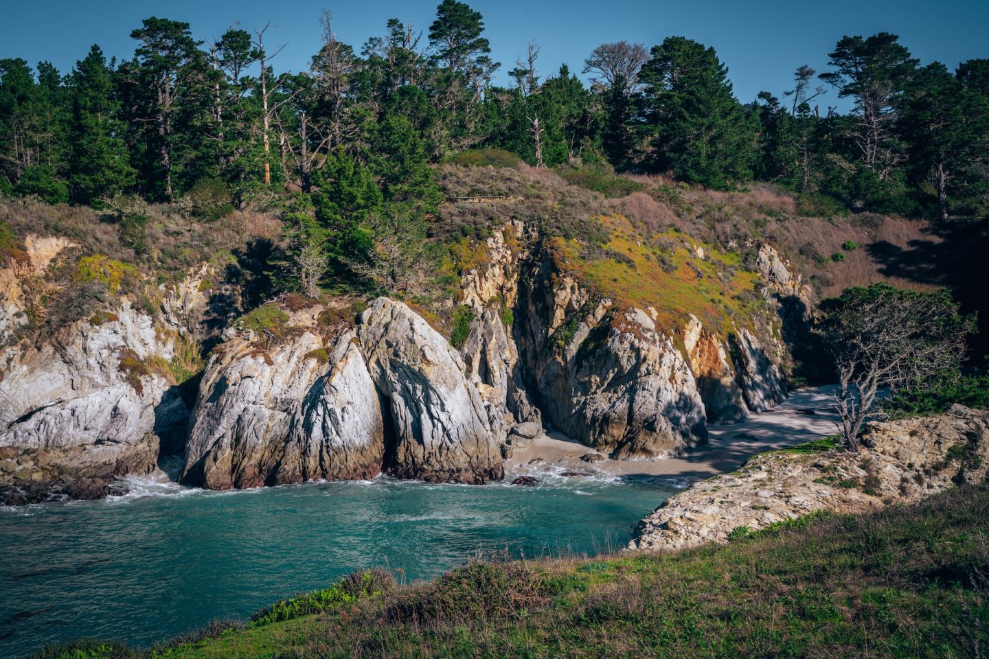 Point Lobos State Natural Reserve - Carmel, California