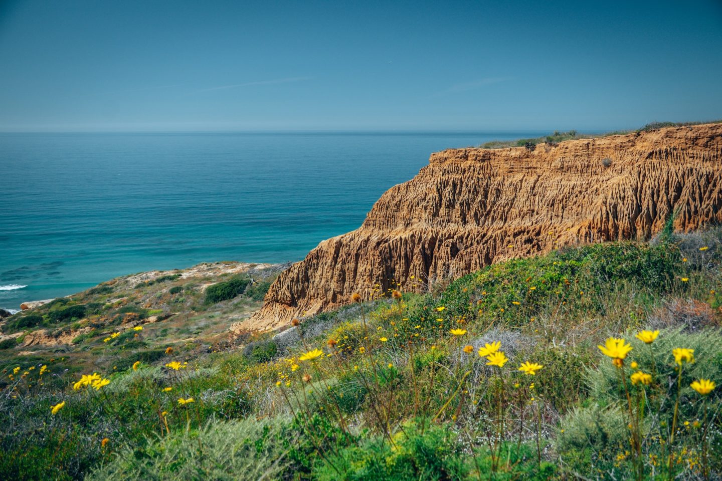 Torre Pines State Natural Reserve - Del Mar, California