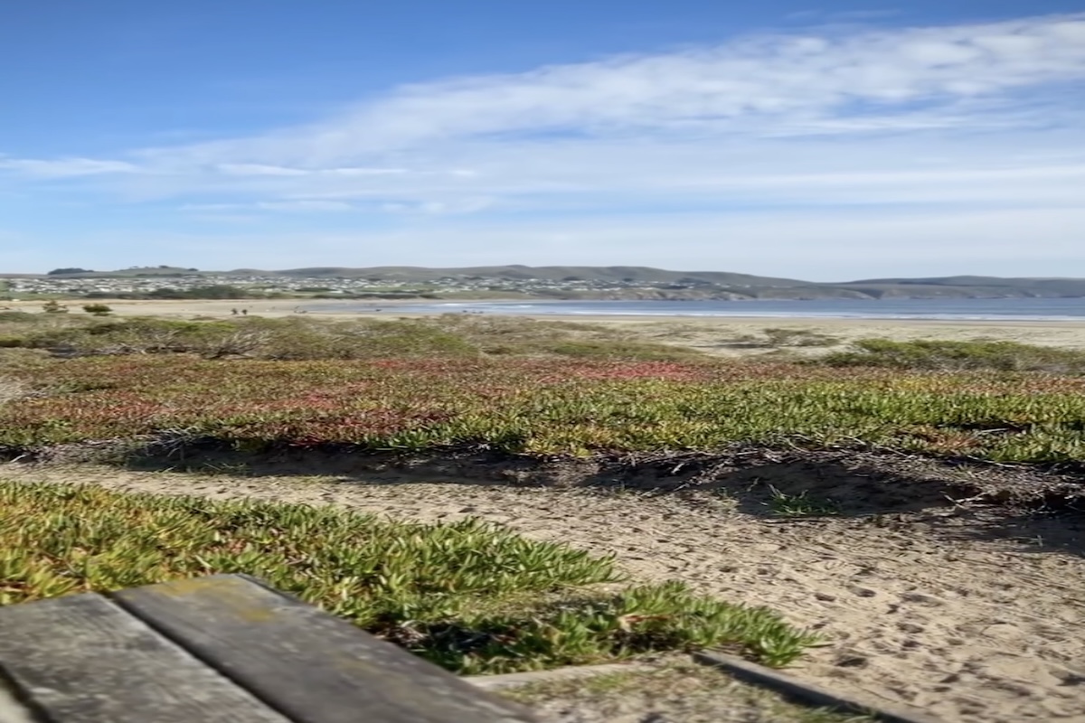 DORAN REGIONAL PARK | BODEGA BAY, SONOMA COUNTY