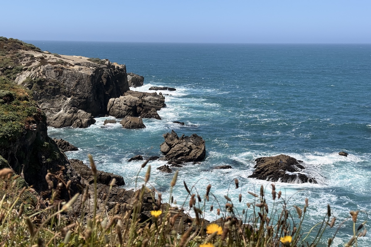 OCEAN COVE BLUFF VIEWS