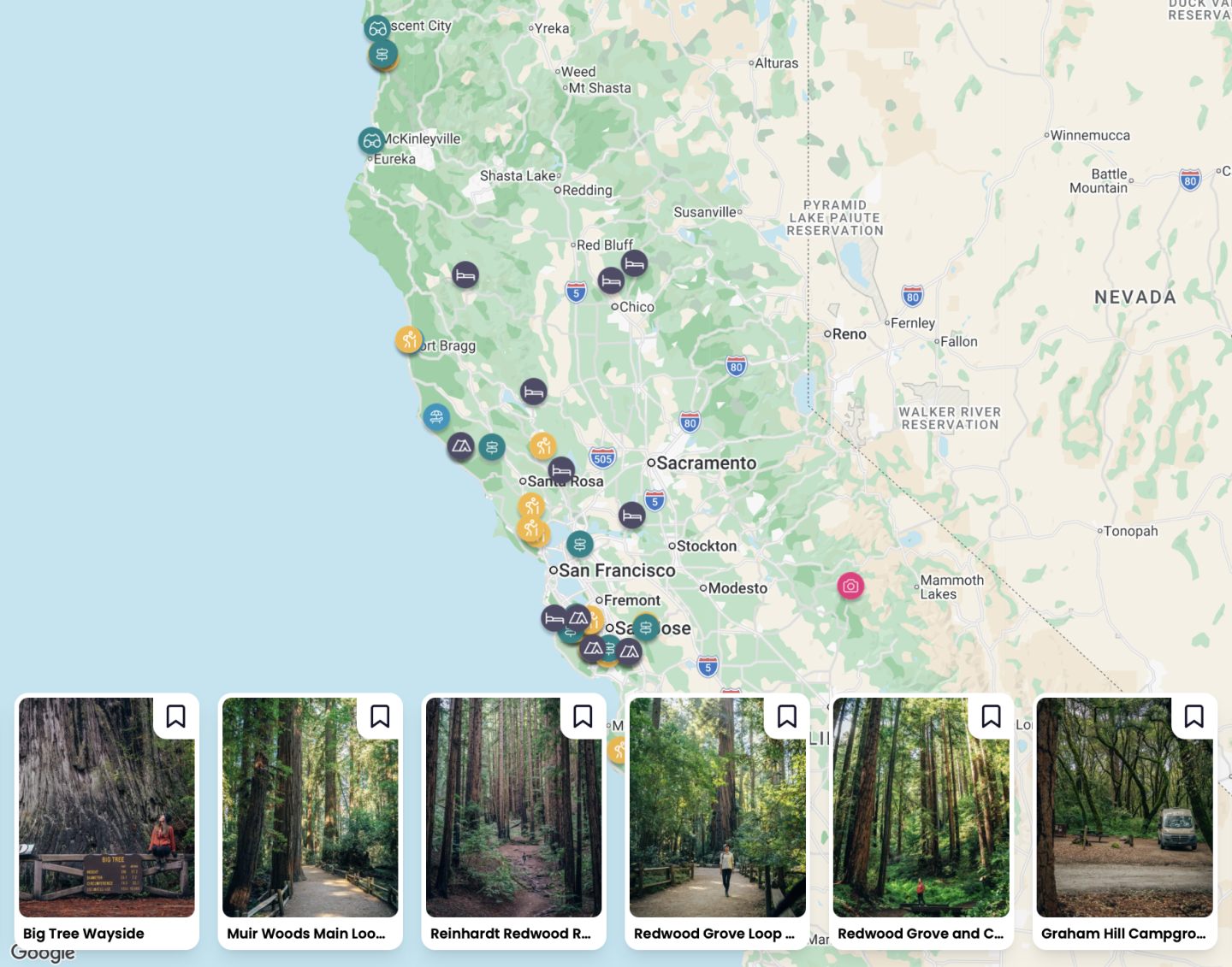 WHERE TO SEE THE BEST REDWOOD FORESTS OF CALIFORNIA