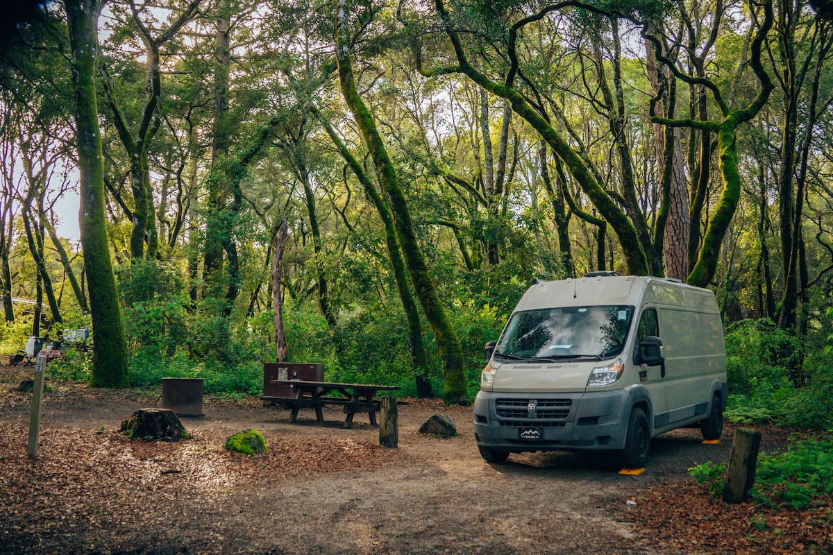 Camp at Henry Cowell Redwoods SP