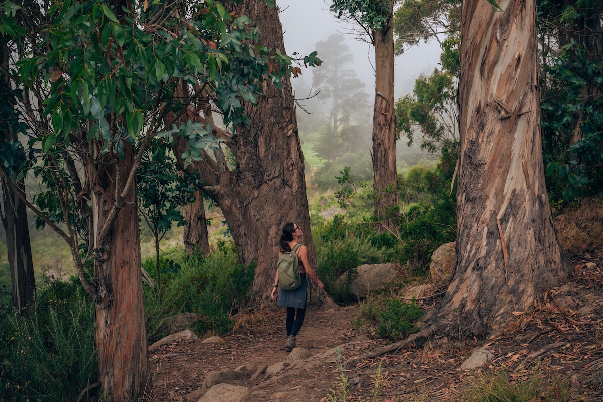 Hike the Black Hill Trail at Morro Bay SP