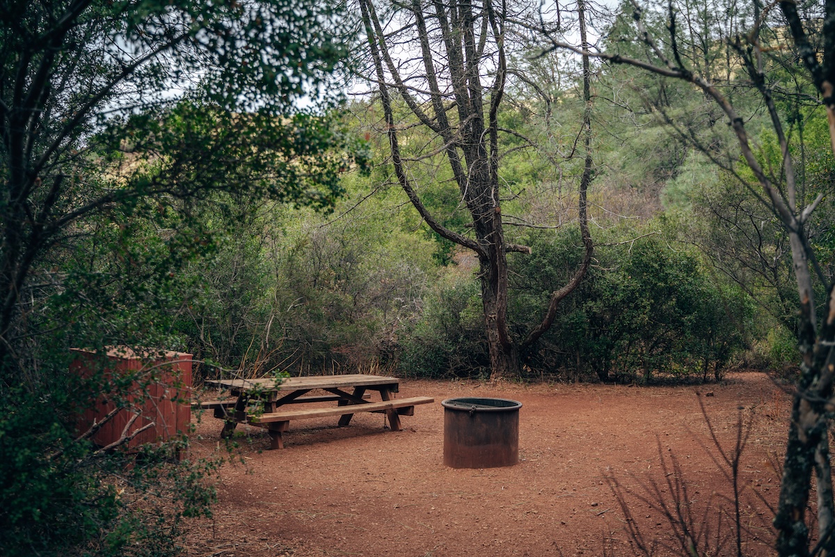 Juniper Campground - Mount Diablo State Park