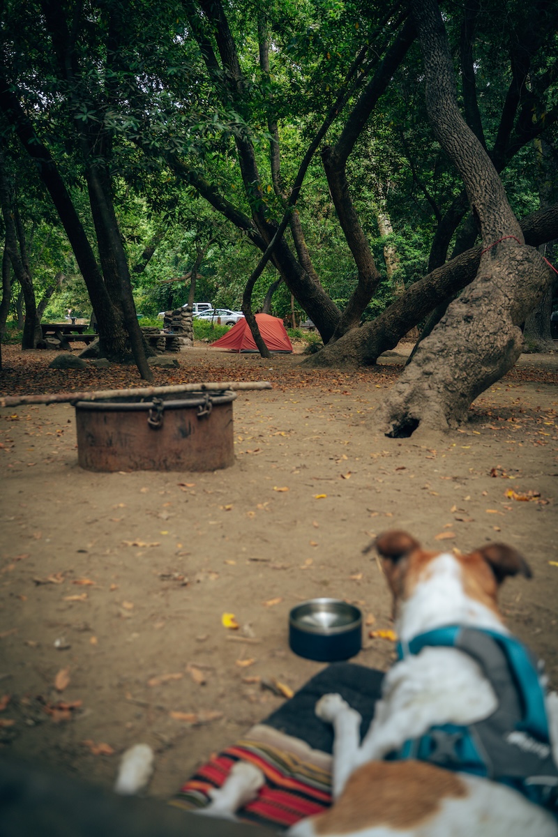Relaxing at Pfeiffer Big Sur Campground