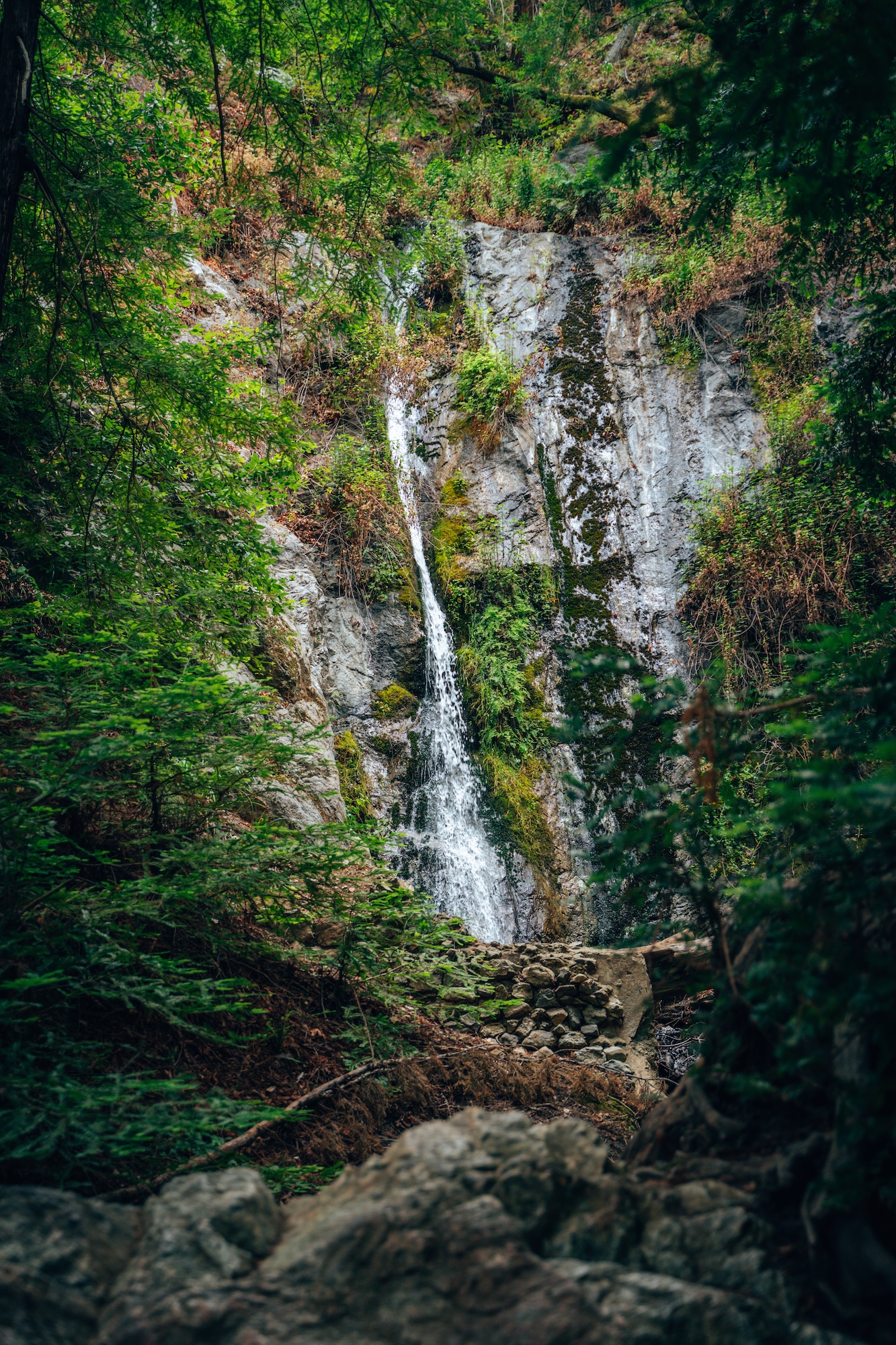 Hike to Pfeiffer Falls from the campground