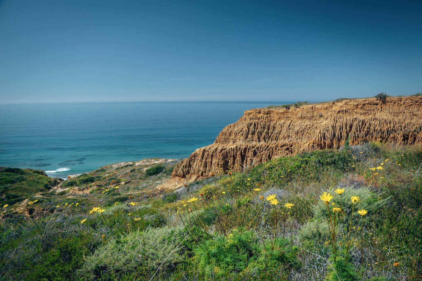 Torre Pines State Natural Reserve - Del Mar