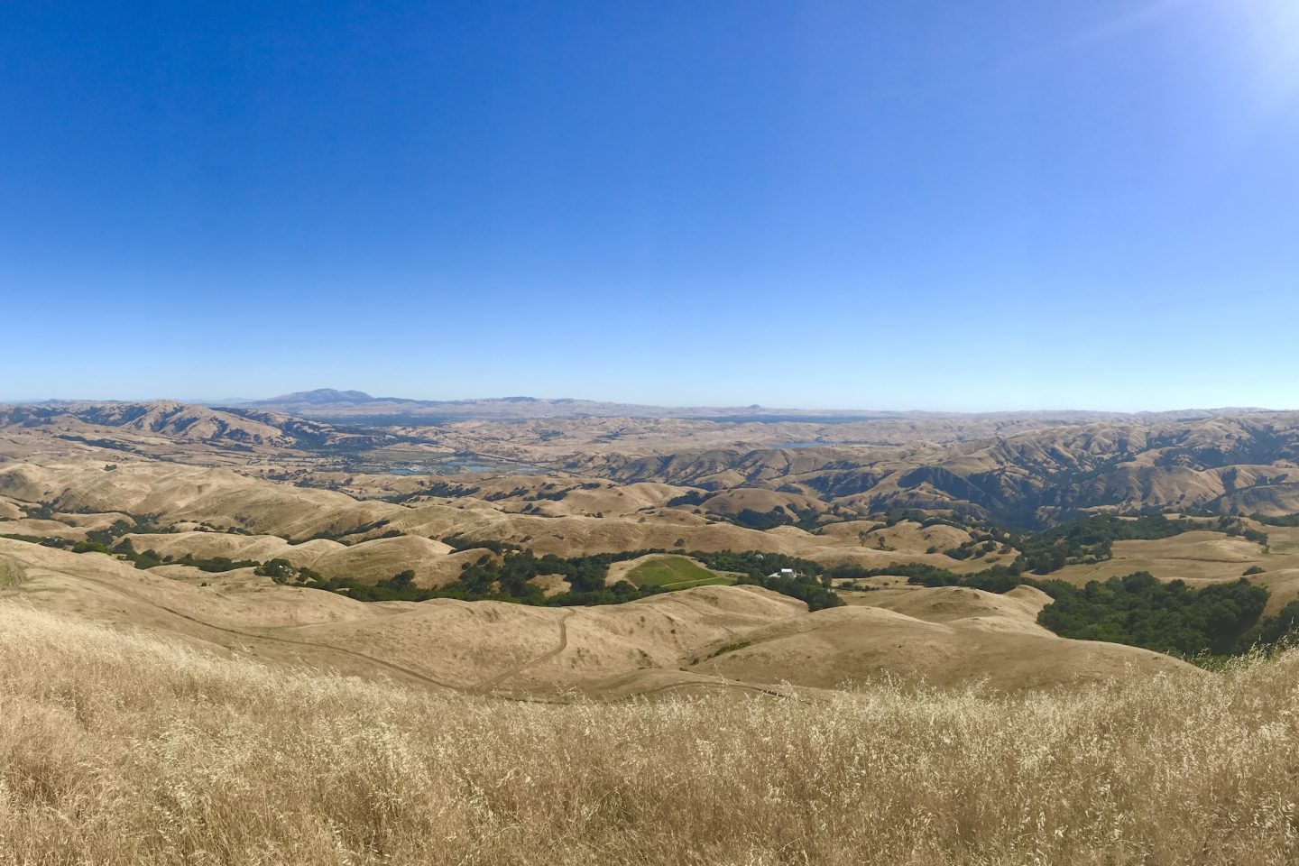 View of Diablo Range from Mission Peak