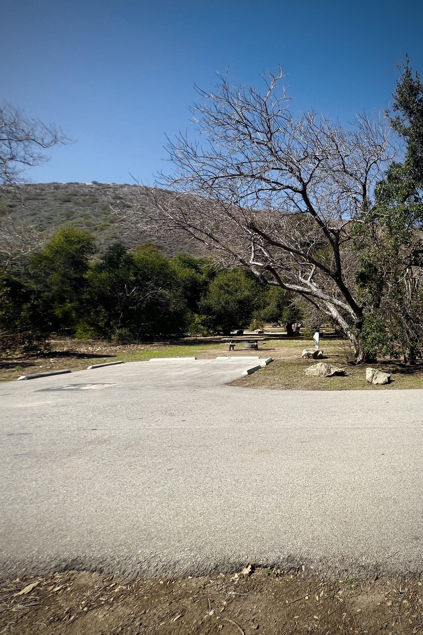 Campsites at Leo Carrillo SP