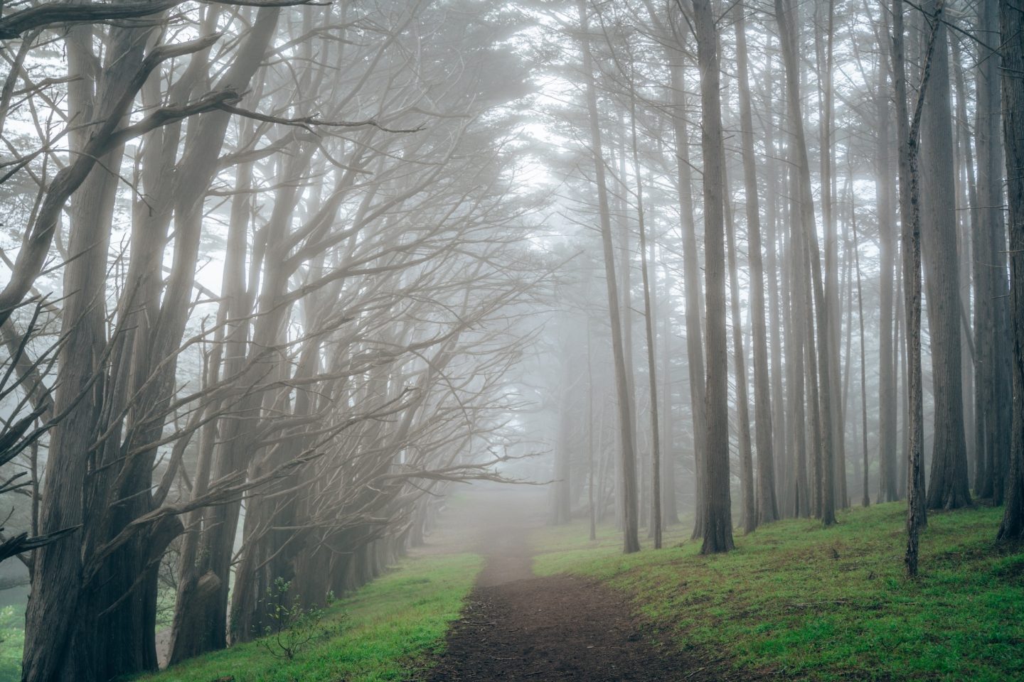 15 BEST HIKES IN THE BAY AREA