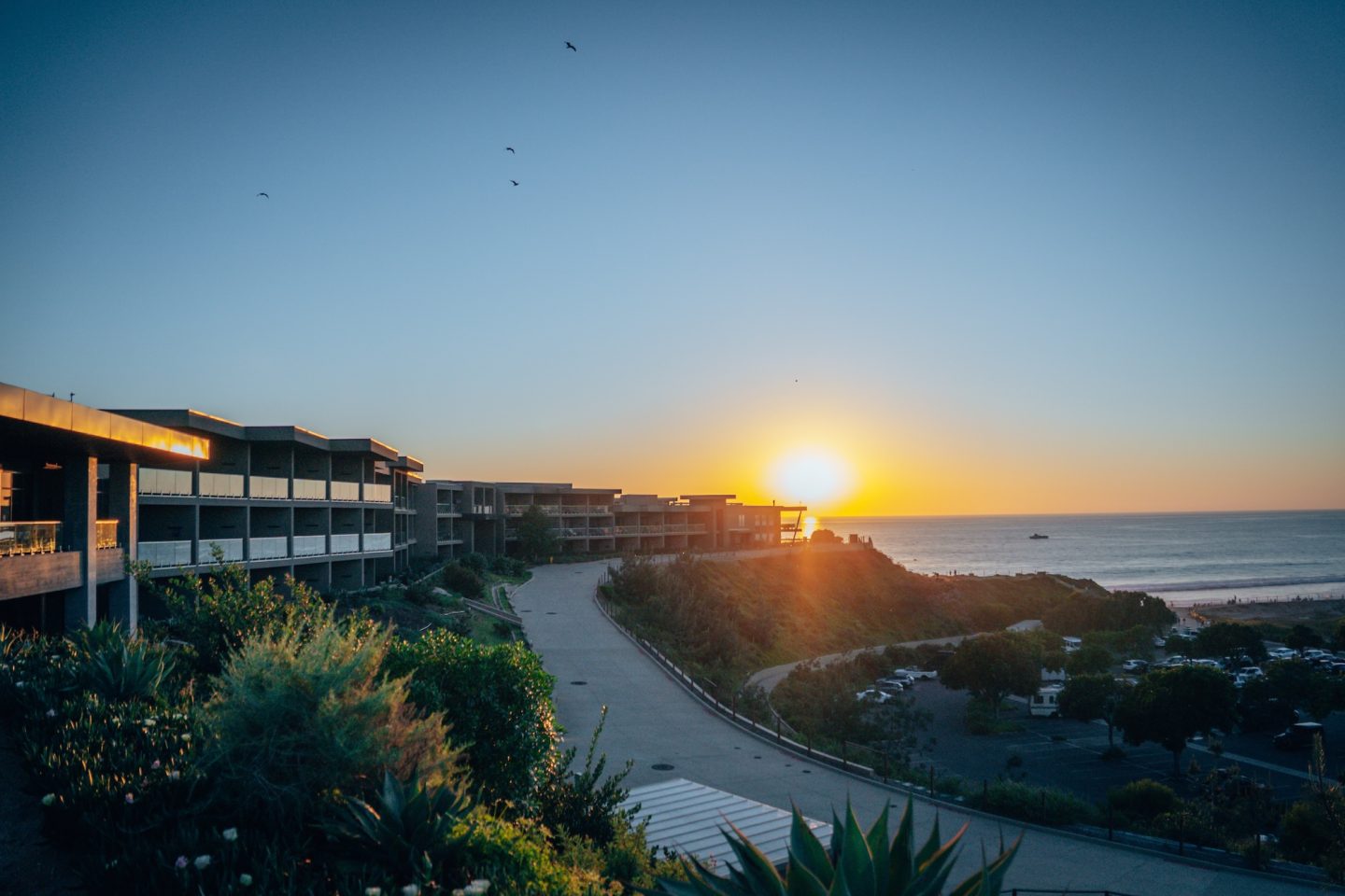 Alila Marea Beach Resort - Encinitas, California