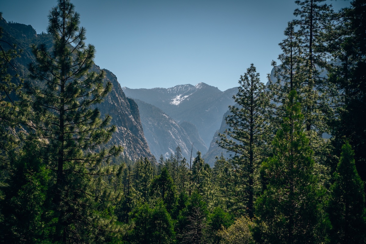 Kings Canyon National Park