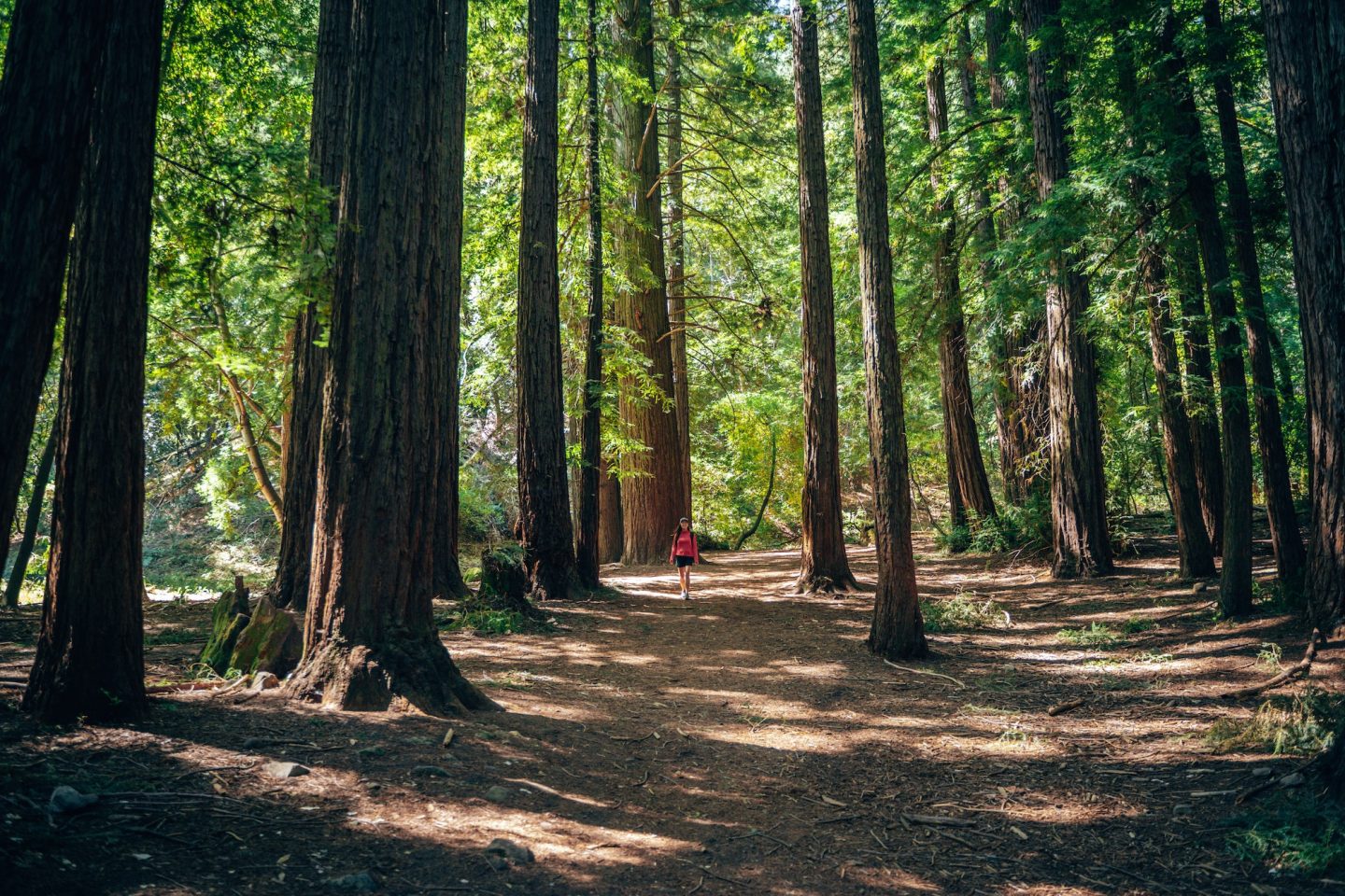 San Andreas & Nature Trail Loop - Sanborn County Park