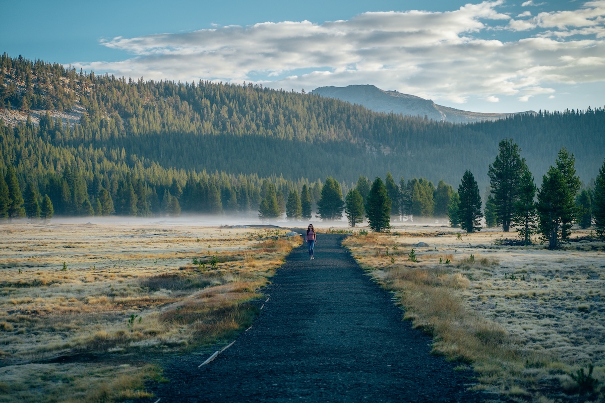 Quiet morning at Tuolumne Meadows