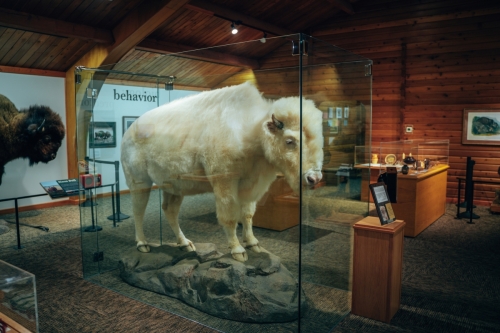 Smilkos Lens Discover Jamestown North Dakota - National Buffalo Museum